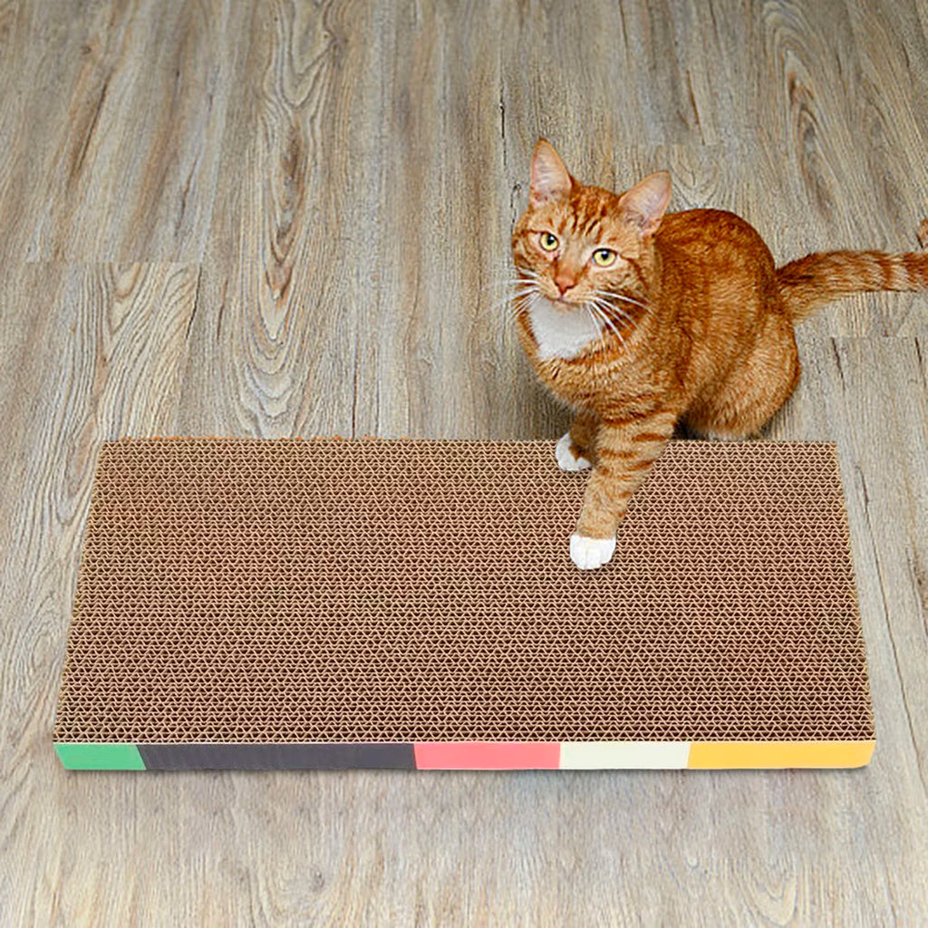 Planche griffoir en carton pour chat avec espace repos