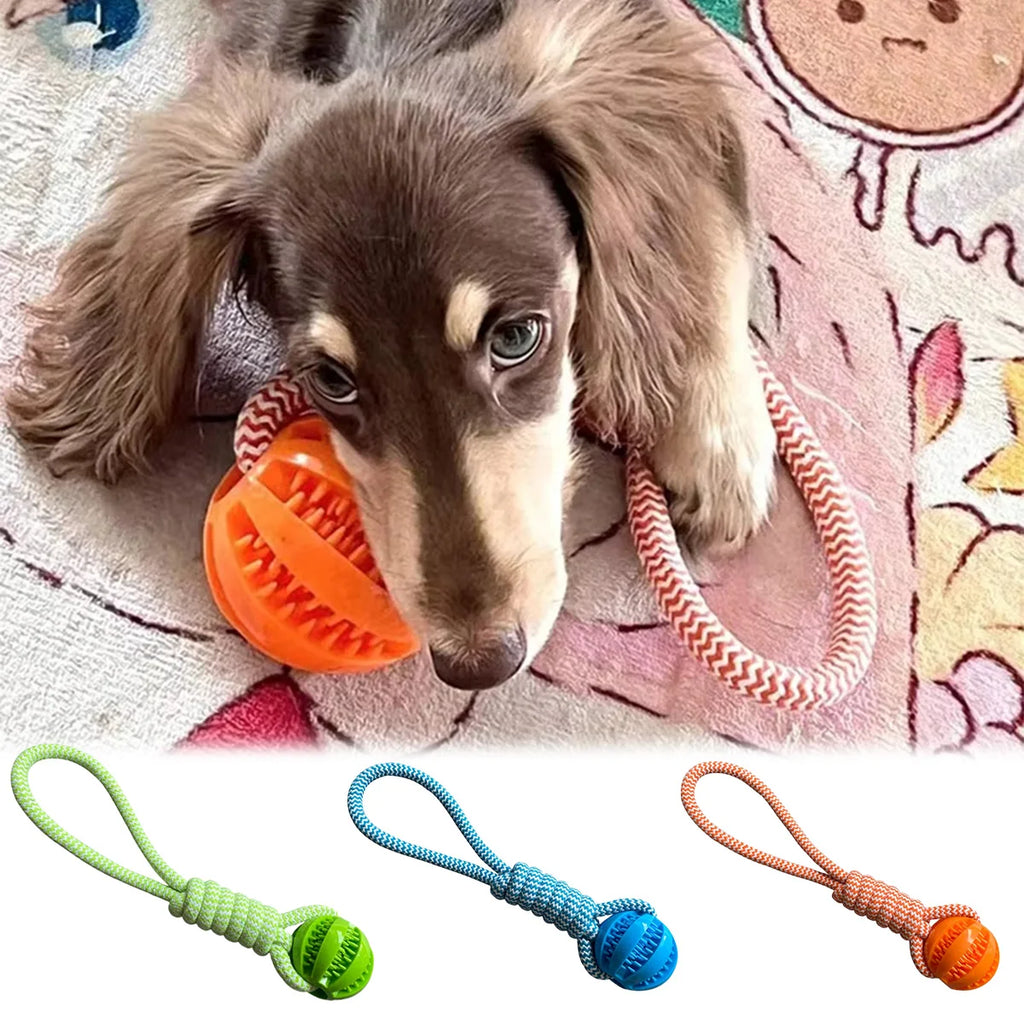 Jouet interactif à mâcher avec corde - chien