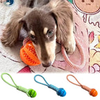 Jouet interactif à mâcher avec corde - chien