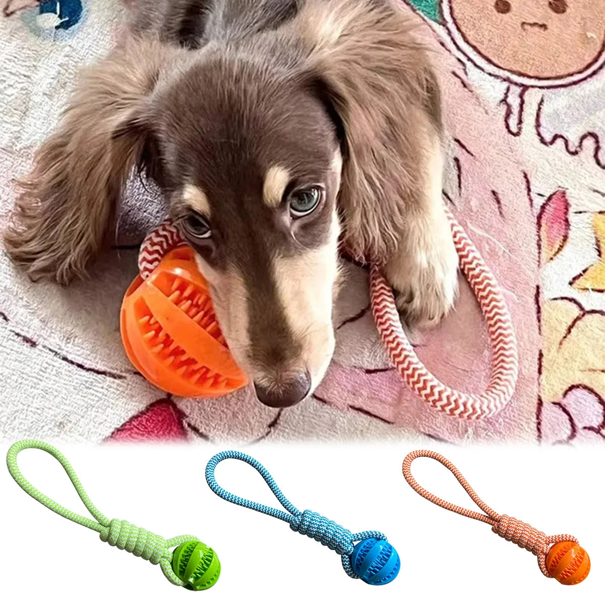 Jouet interactif à mâcher pour chien avec corde