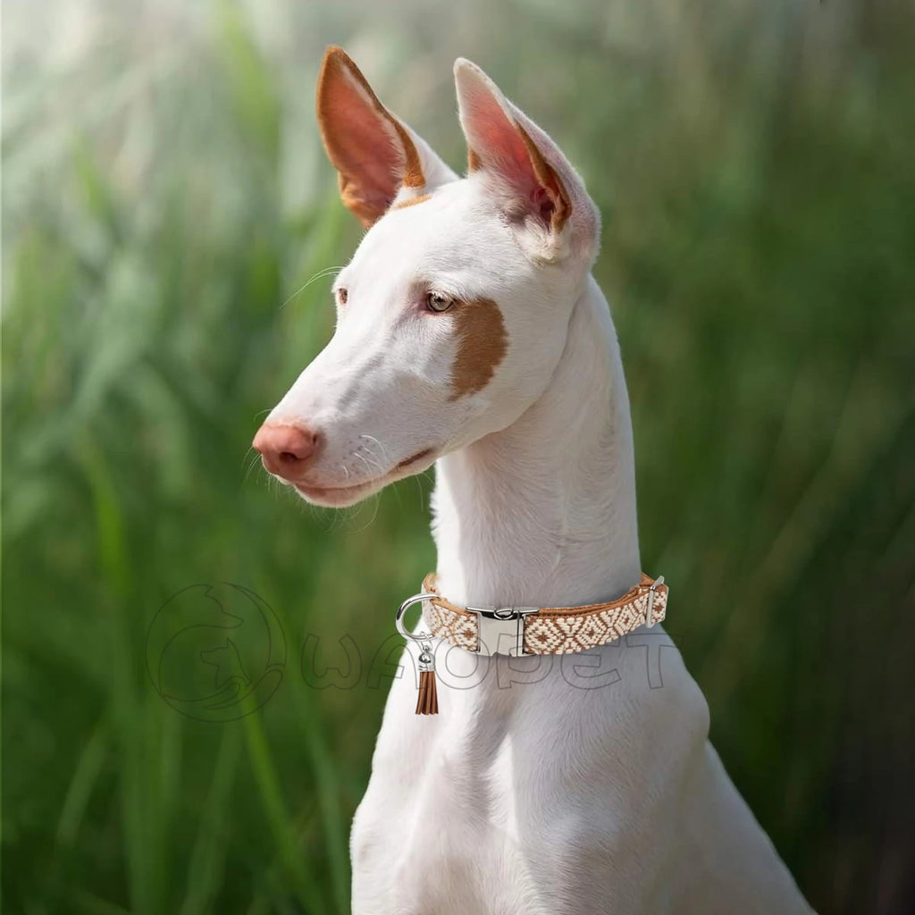 Collier bohème ethnique pour chien avec pendentif