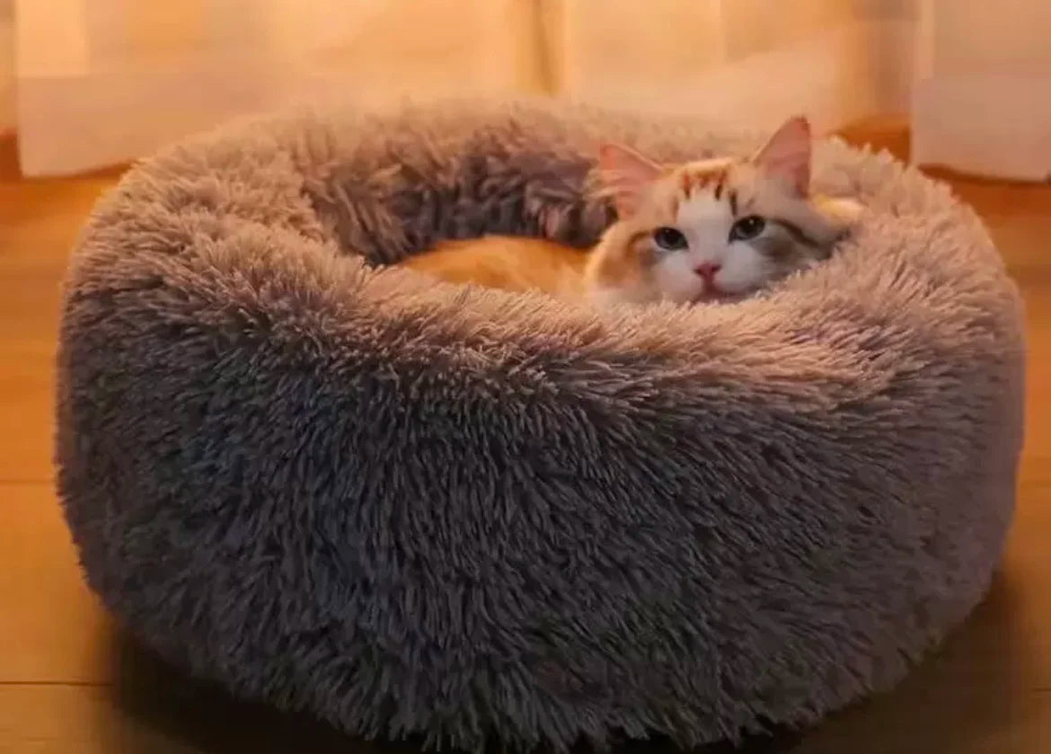 Lit rond moelleux et chaud pour chien et chat