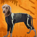 Costume squelette Halloween - chien