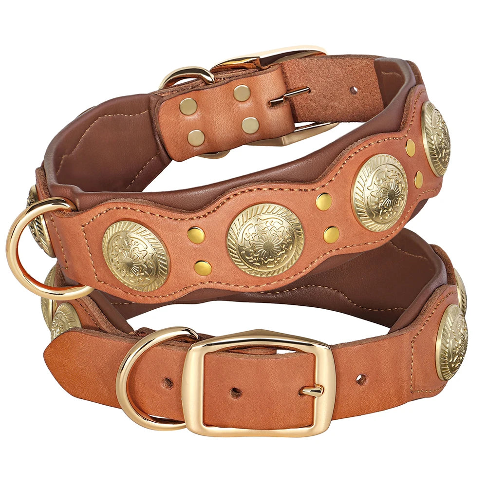 Collier en cuir large premium pour grand chien