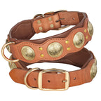 Collier en cuir large premium pour grand chien