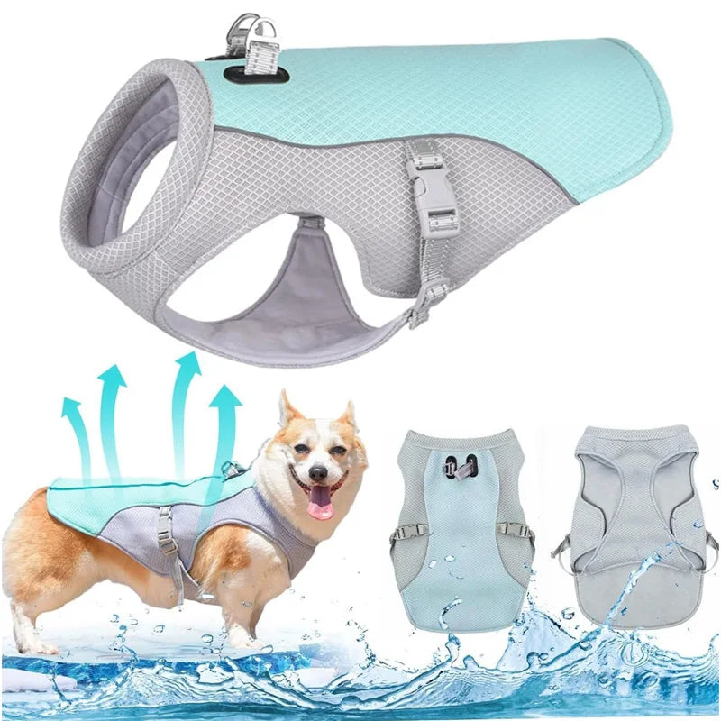 Gilet rafraîchissant respirant - chien