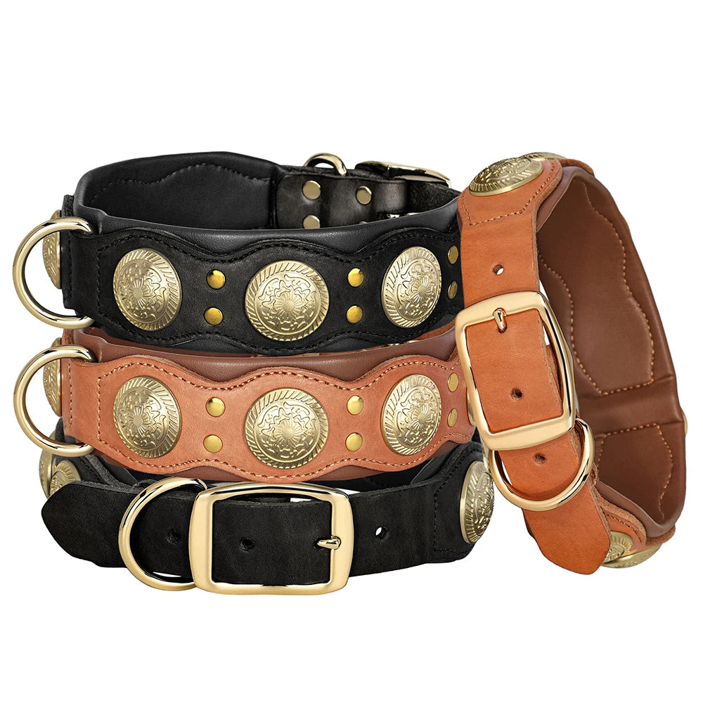 Collier en cuir large premium pour grand chien