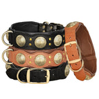 Collier en cuir large premium pour grand chien