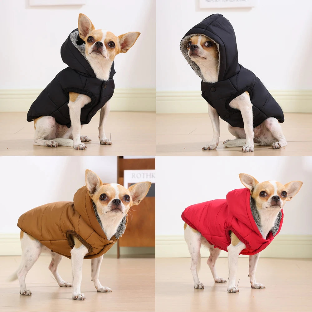 Veste d’Hiver à Capuche Imperméable pour Chien et Chat