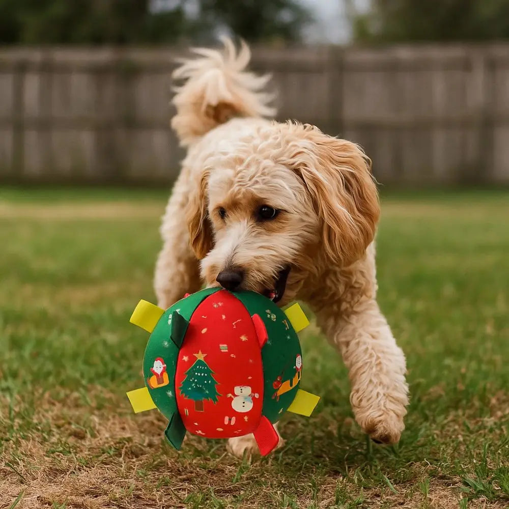 Balle de Noël grinçante pour chien & chat