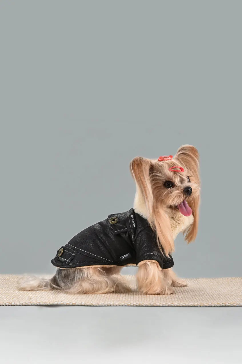 Veste d’hiver chaude effet cuir - chien et chat