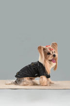 Veste d’hiver chaude effet cuir - chien et chat