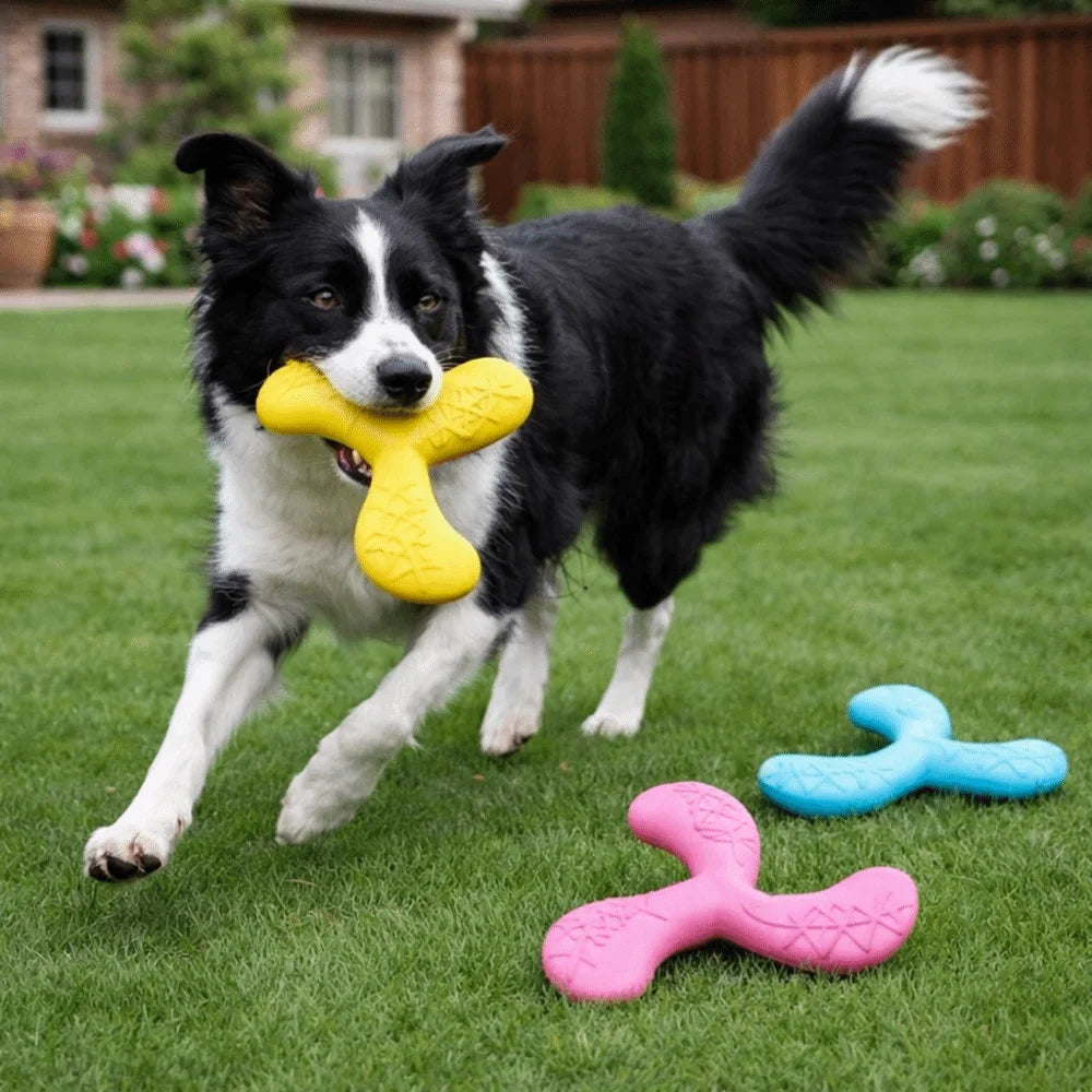 Disque volant flottant - chien
