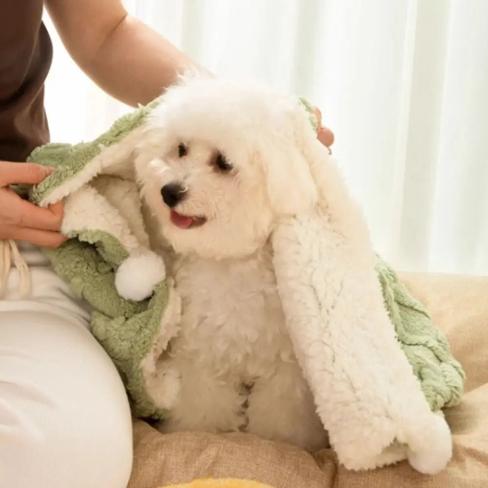 Plaid Cocooning Chat & Chien