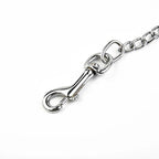 Laisse en métal avec poignée en cuir pour chien