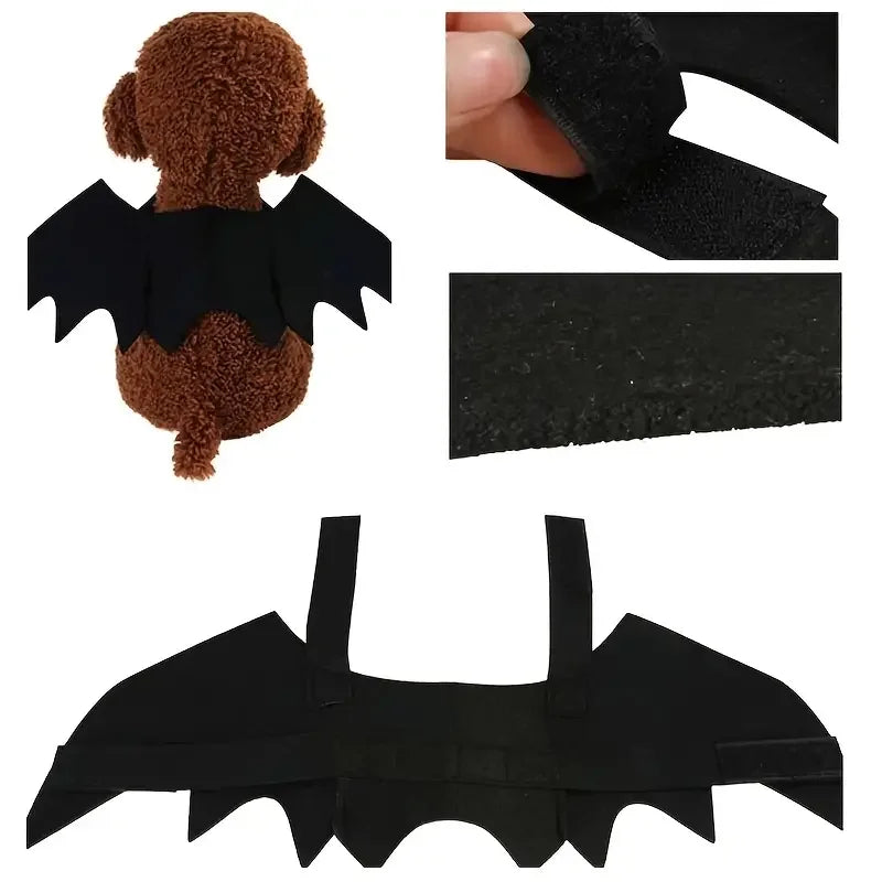 Ailes de chauve-souris Halloween - chien ou chat