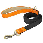 Laisse de marche nylon - chien