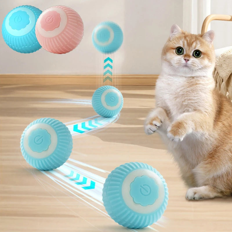 Balle interactive rechargeable pour chat
