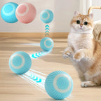 Balle interactive rechargeable pour chat