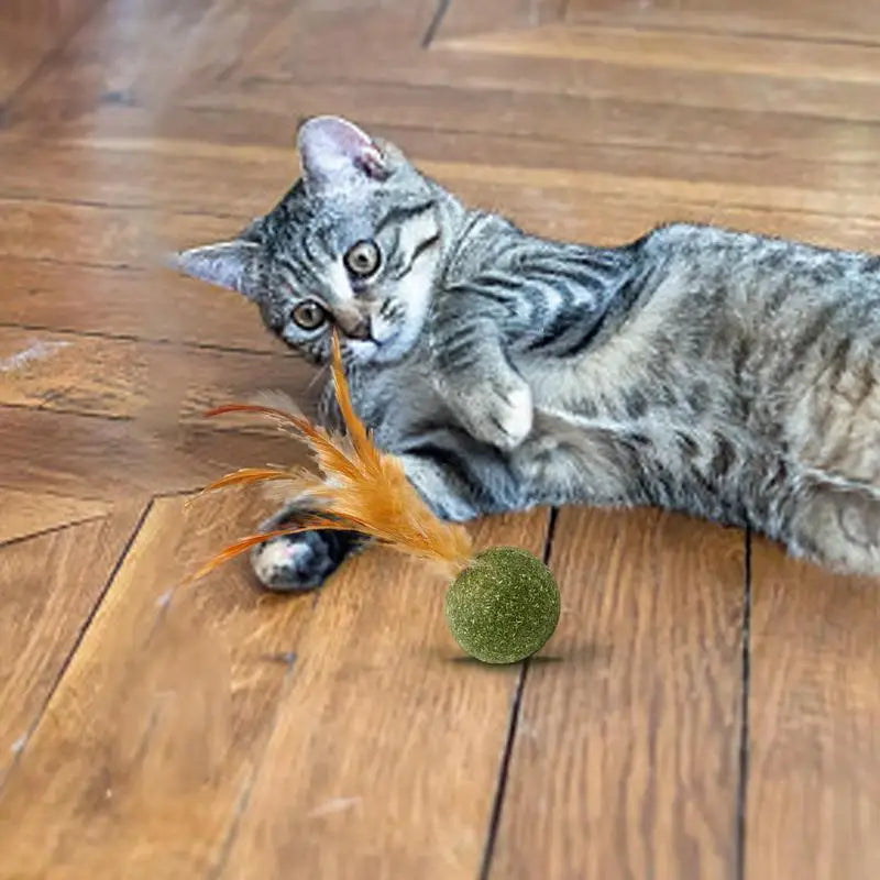 Boule à plumes à l’herbe à chat naturelle pour chat