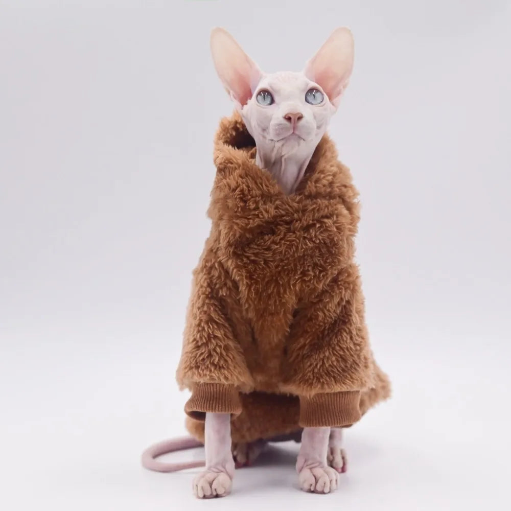 Pull d’hiver confort pour chat