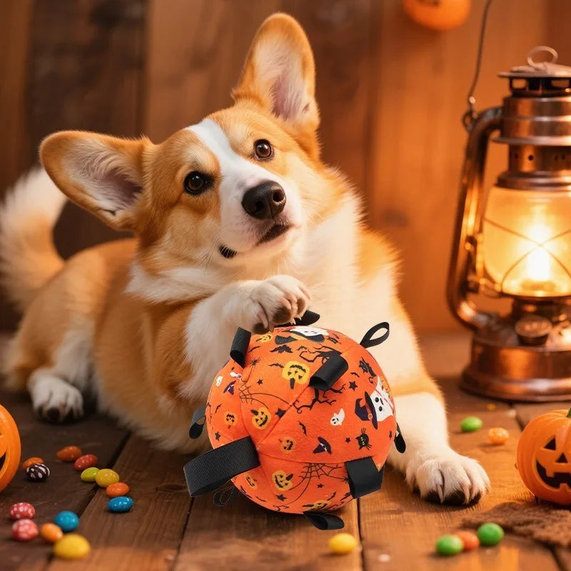 Balle Halloween avec cloche - chien