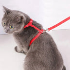 Harnais réglable avec laisse - chat