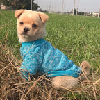 Pull classique d’hiver - chien ou chat