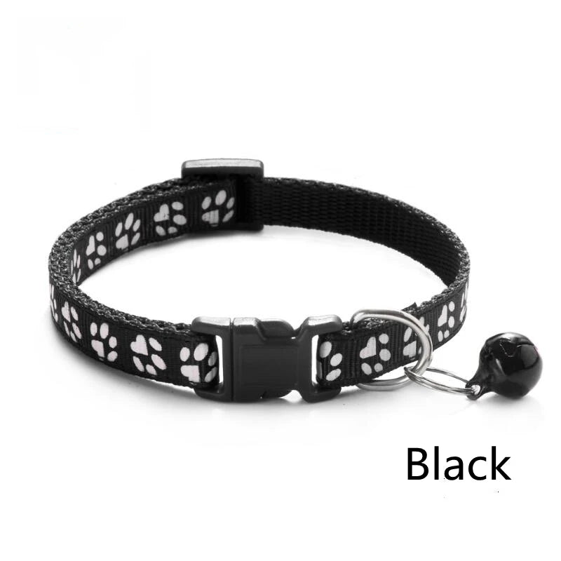 Collier réglable empreinte colorée pour chat