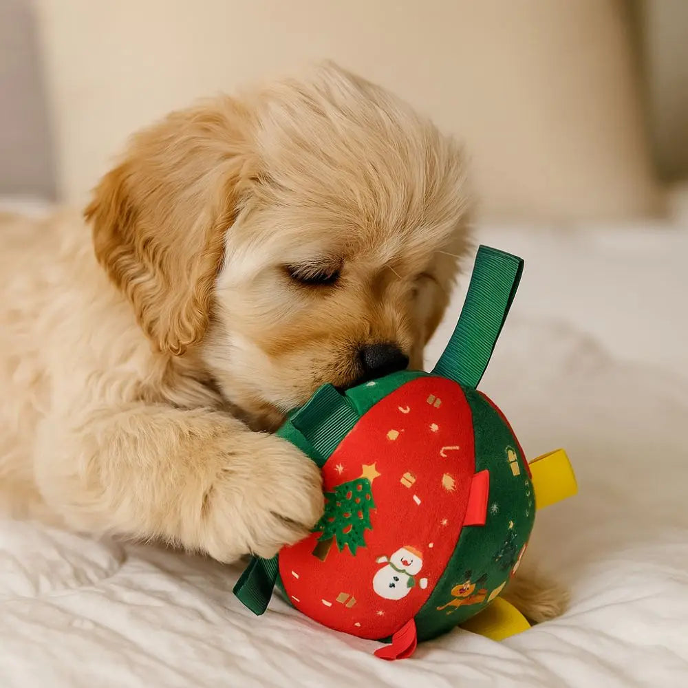 Balle de Noël grinçante pour chien & chat
