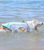 Gilet rafraîchissant respirant - chien