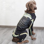 Costume squelette Halloween - chien