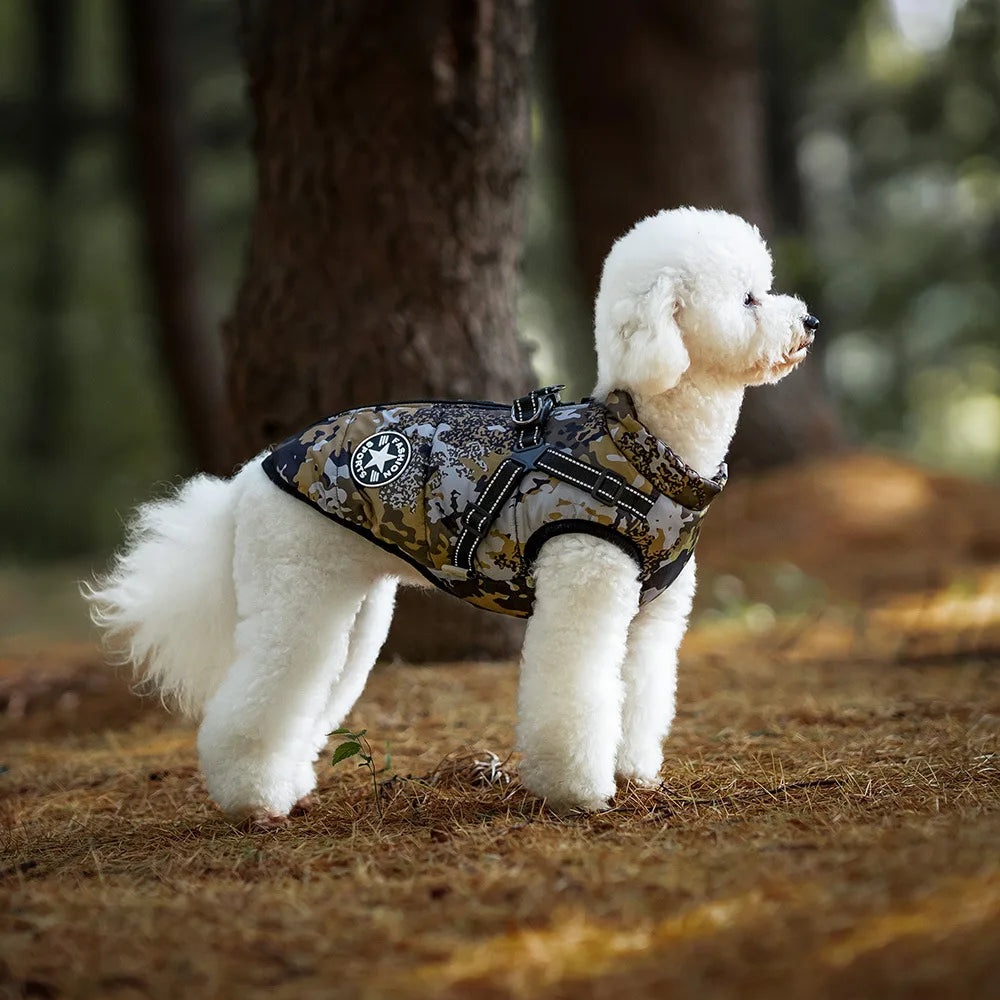 Manteau d’hiver hydrofuge pour chien