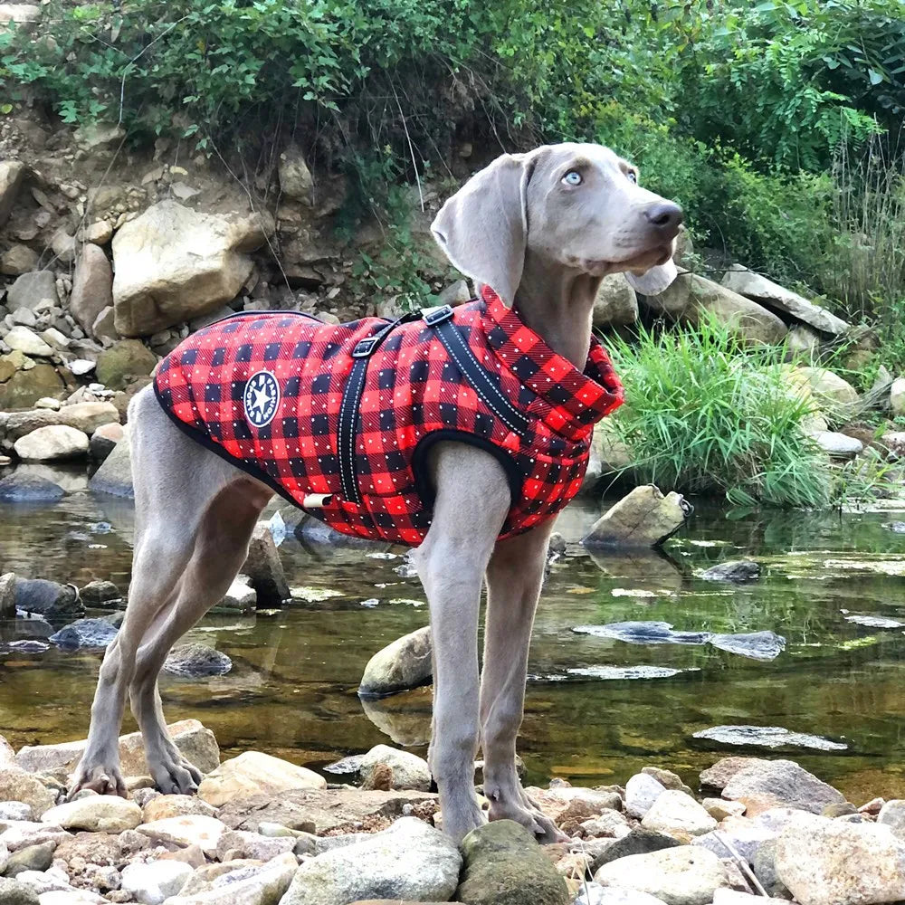 Manteau d’hiver hydrofuge pour chien