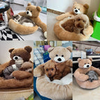 Panier peluche ours pour animaux