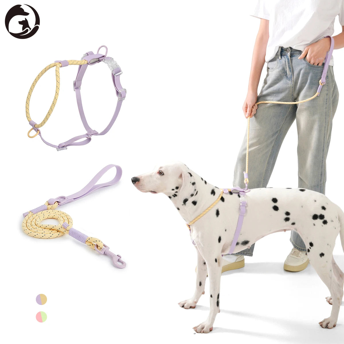 Ensemble Harnais et Laisse Sans Traction PVC pour Chien