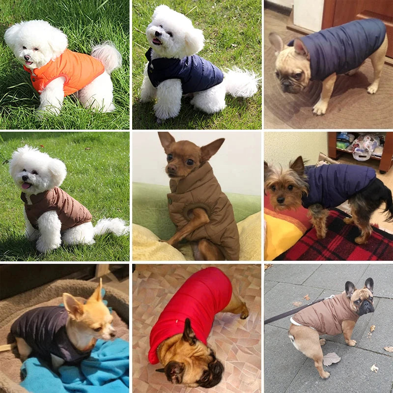 Veste d’Hiver Polaire pour Chien et Chat