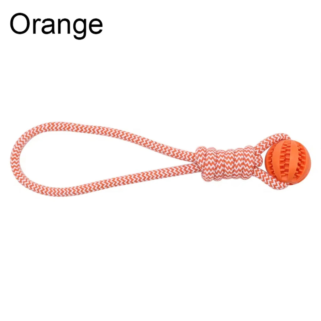 Jouet interactif à mâcher avec corde - chien
