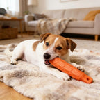 Bâton de mastication - chien