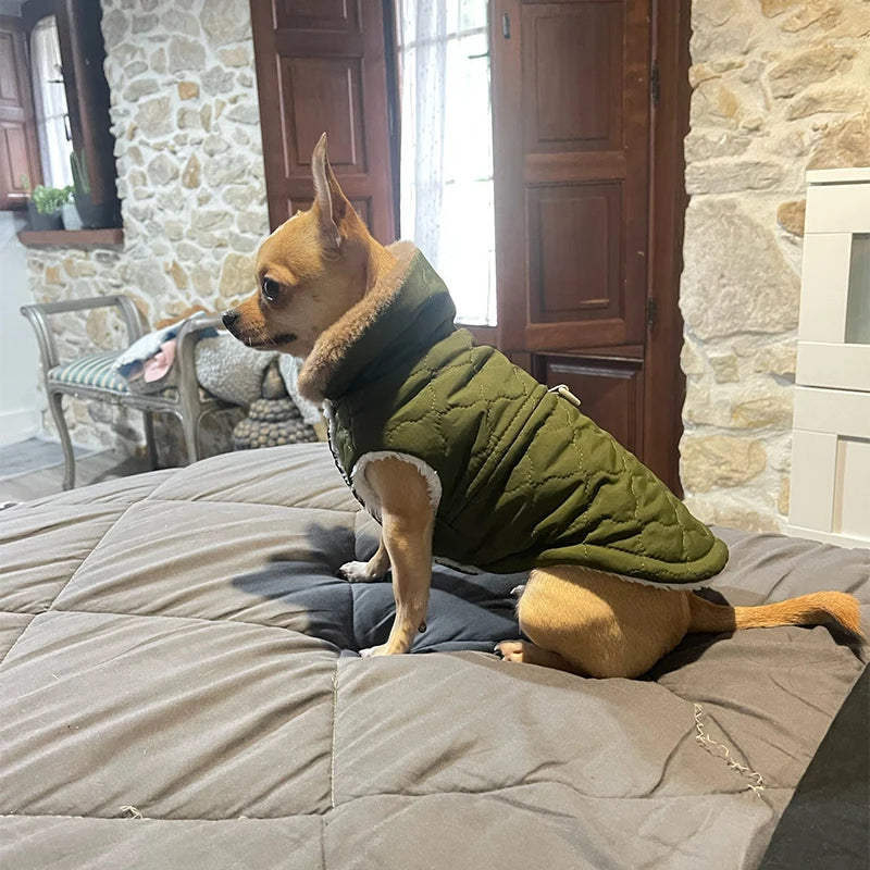 Veste Polaire Chaude pour Chien et Chat