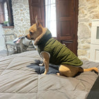 Veste Polaire Chaude pour Chien et Chat