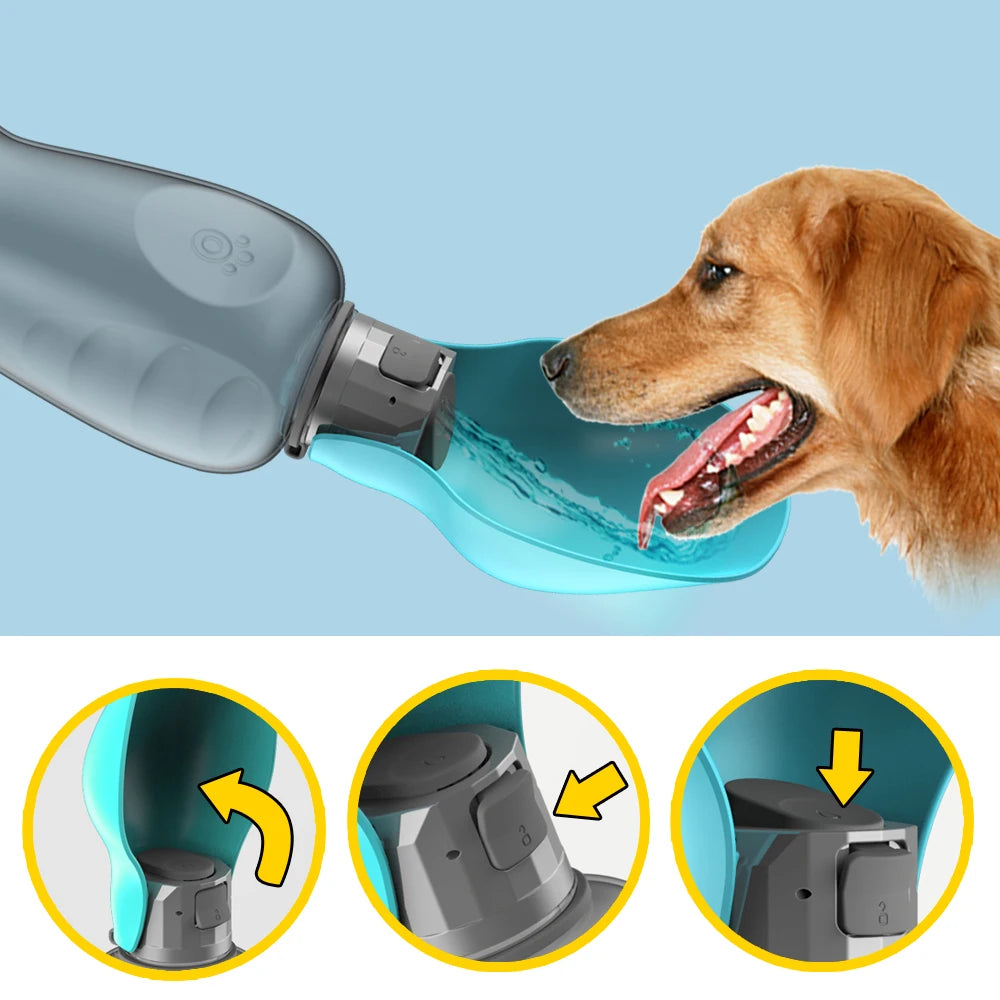 Gourde de voyage 800 ml - chien
