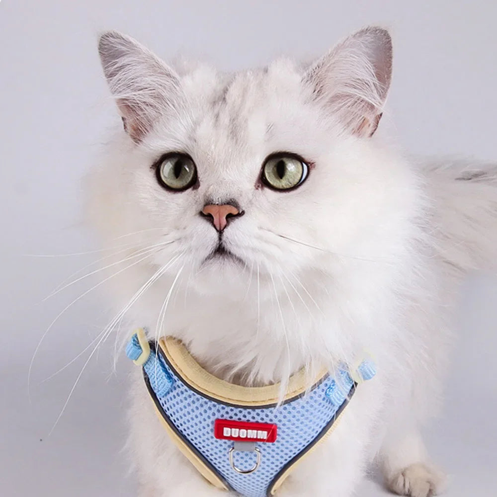 Harnais réfléchissant avec laisse - chat et petit chien