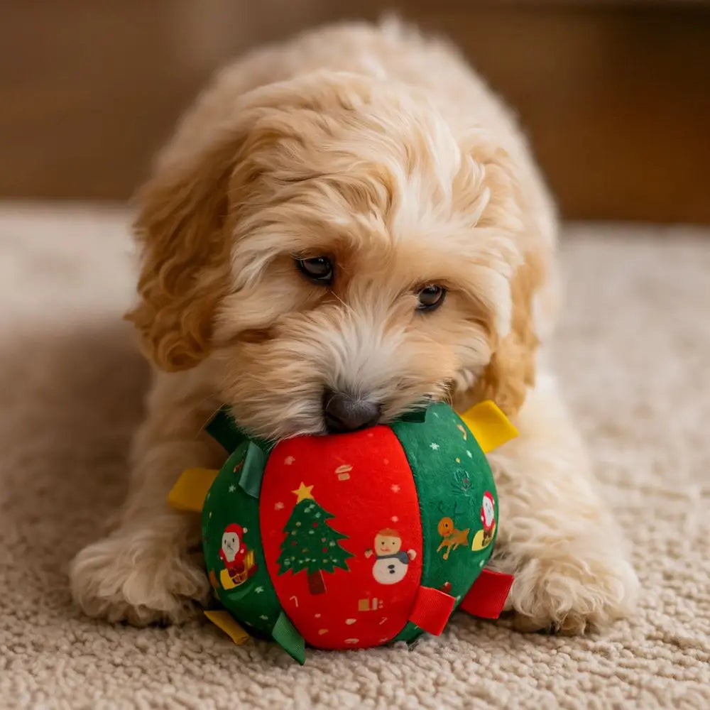 Balle de Noël grinçante pour chien & chat