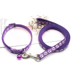 Collier + laisse nylon motif empreintes pour chat et petit chien