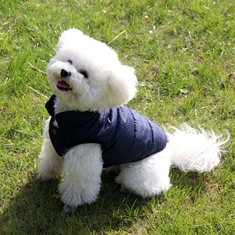Veste d’Hiver Polaire pour Chien et Chat
