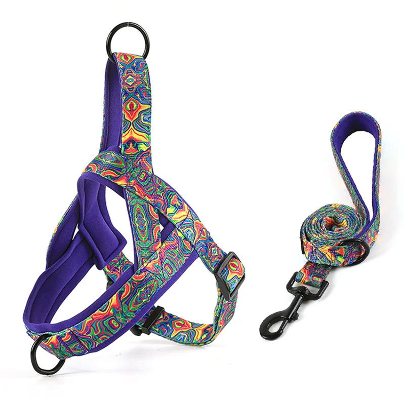 Harnais avec laisse réglable pour chien