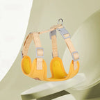 Harnais respirant avec laisse pour chats et petits chiens