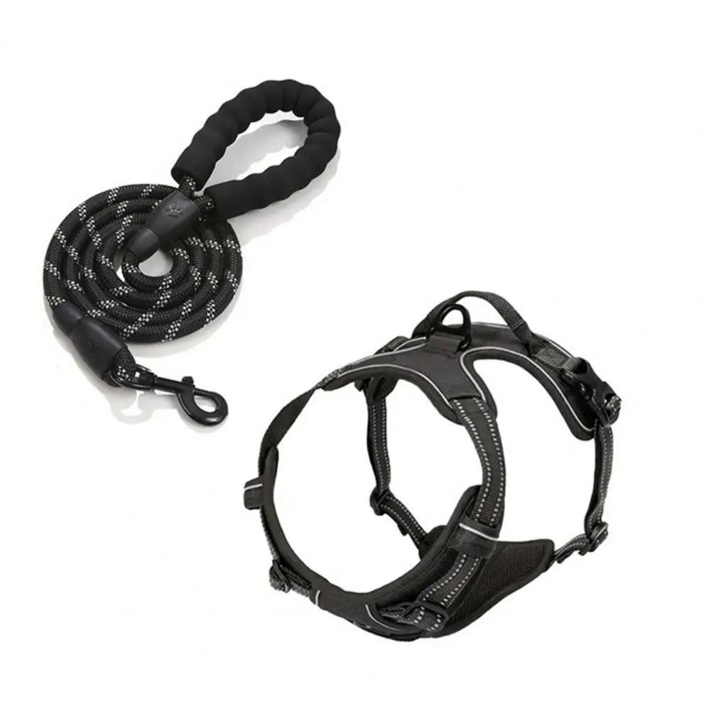 Harnais confort anti-traction avec laisse - chien