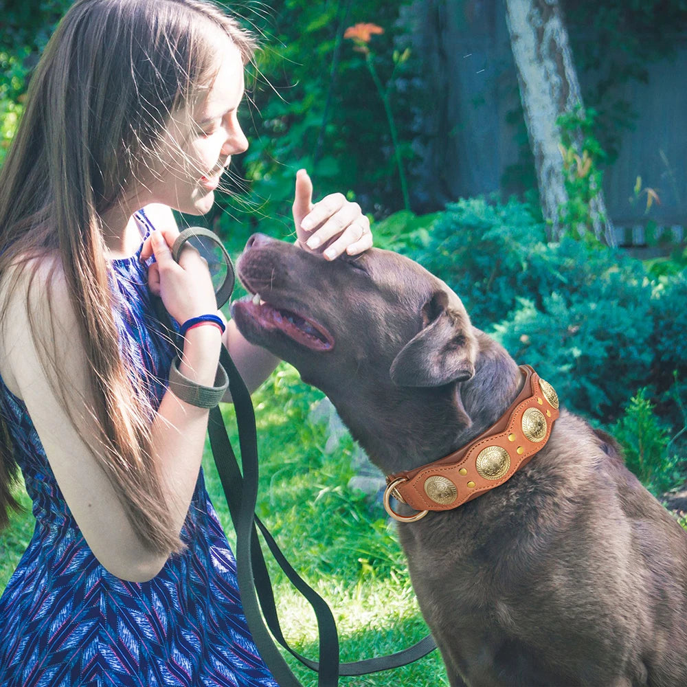 Collier en cuir large premium pour grand chien